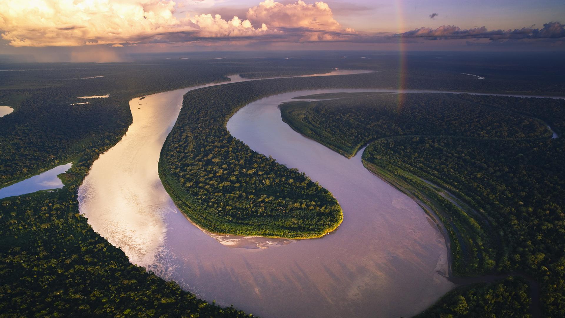 amazonie